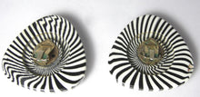 Load image into Gallery viewer, Vintage 1930s Zebra Design Rhinestone Earrings
