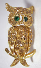 Load image into Gallery viewer, Vintage Whimsical Owl Brooch  - JD10435